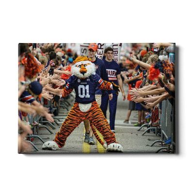  Aub | Auburn 24x16 Aubie At The Tiger Walk Canvas | Alumni Hall