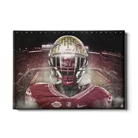 Florida State 24