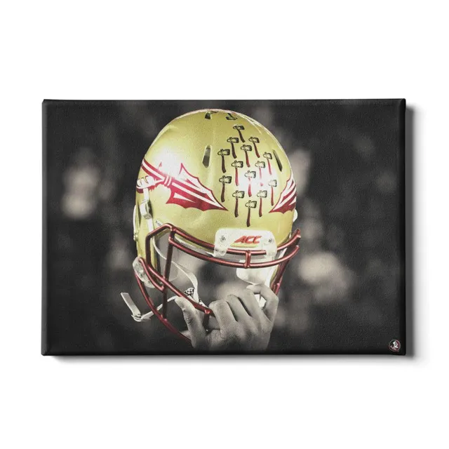 Florida State Seminoles Hover Team Helmet, 60% OFF