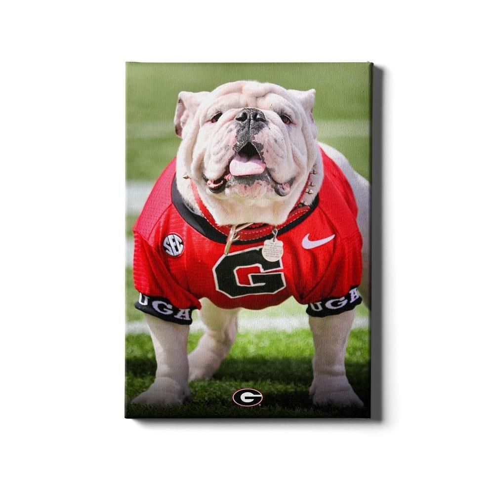  Dawgs | Georgia 16x24 Uga Poised Ii Canvas | Alumni Hall