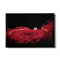  Dawgs | Georgia 24x16 Sanford Red Lights Canvas | Alumni Hall