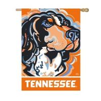  Vols | Tennessee Suede House Flag | Alumni Hall