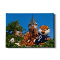  Aub | Auburn 24in X 16 In Aubie Mascot Canvas | Alumni Hall