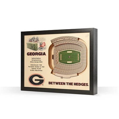 Georgia Sanford Stadium Wall Art