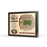 Georgia Sanford Stadium Wall Art