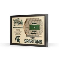  Spartans | Michigan State Spartan Stadium Wall Art | Alumni Hall