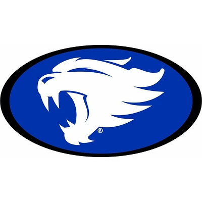 Kentucky Wildcat Domed Hitch Cover