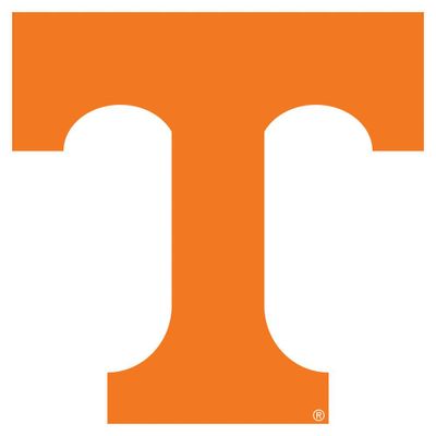  Tennessee Decal Power T With No Outline (3.8 )