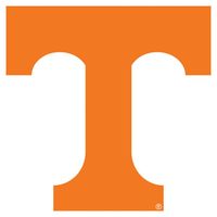  Tennessee Decal Power T With No Outline (3.8 )