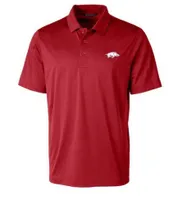 Razorbacks | Arkansas Cutter & Amp ; Buck Big Tall Prospect Polo Alumni Hall