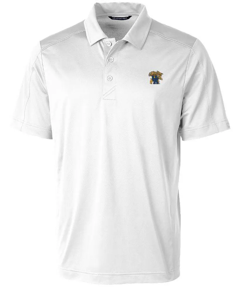 Cats, Kentucky Nike Golf Men's Victory Stripe Polo