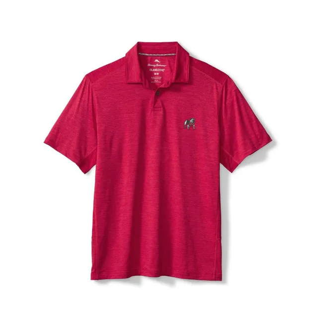 Dawgs | Georgia Peter Millar Vintage Jubilee Stripe Performance Polo |  Alumni Hall