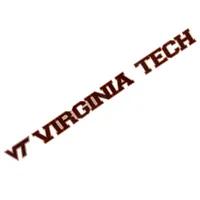 Virginia Tech 19