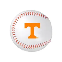  Vols | Tennessee Synthetic Baseball | Alumni Hall