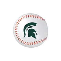 Michigan State Baseball