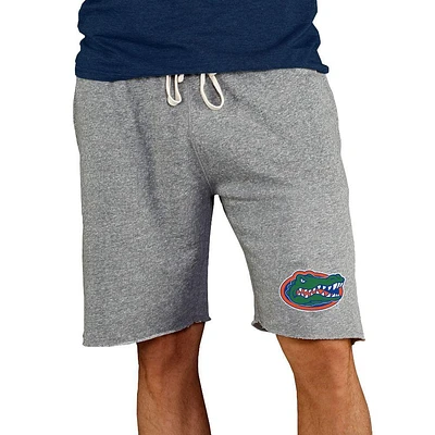 Florida College Concepts Men's Mainstream Terry Shorts