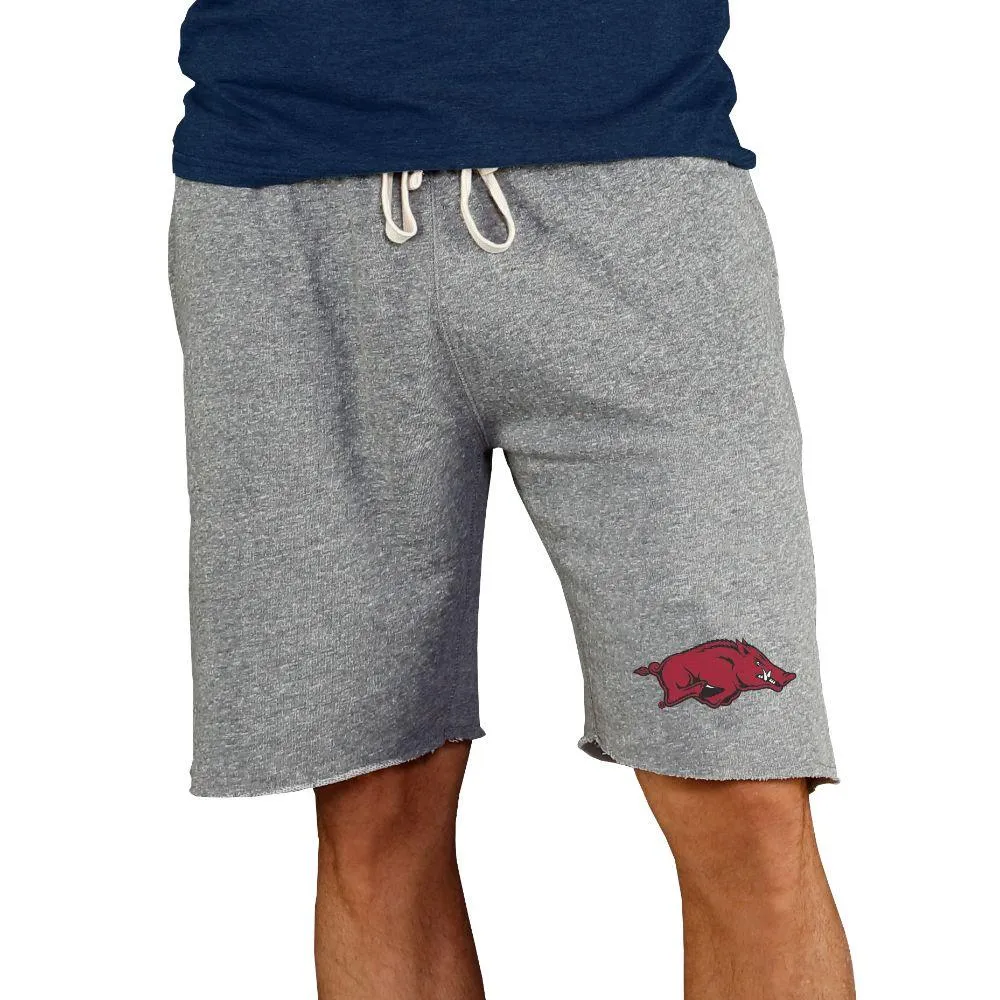 Razorbacks | Arkansas College Concepts Men's Mainstream Terry Shorts Alumni Hall