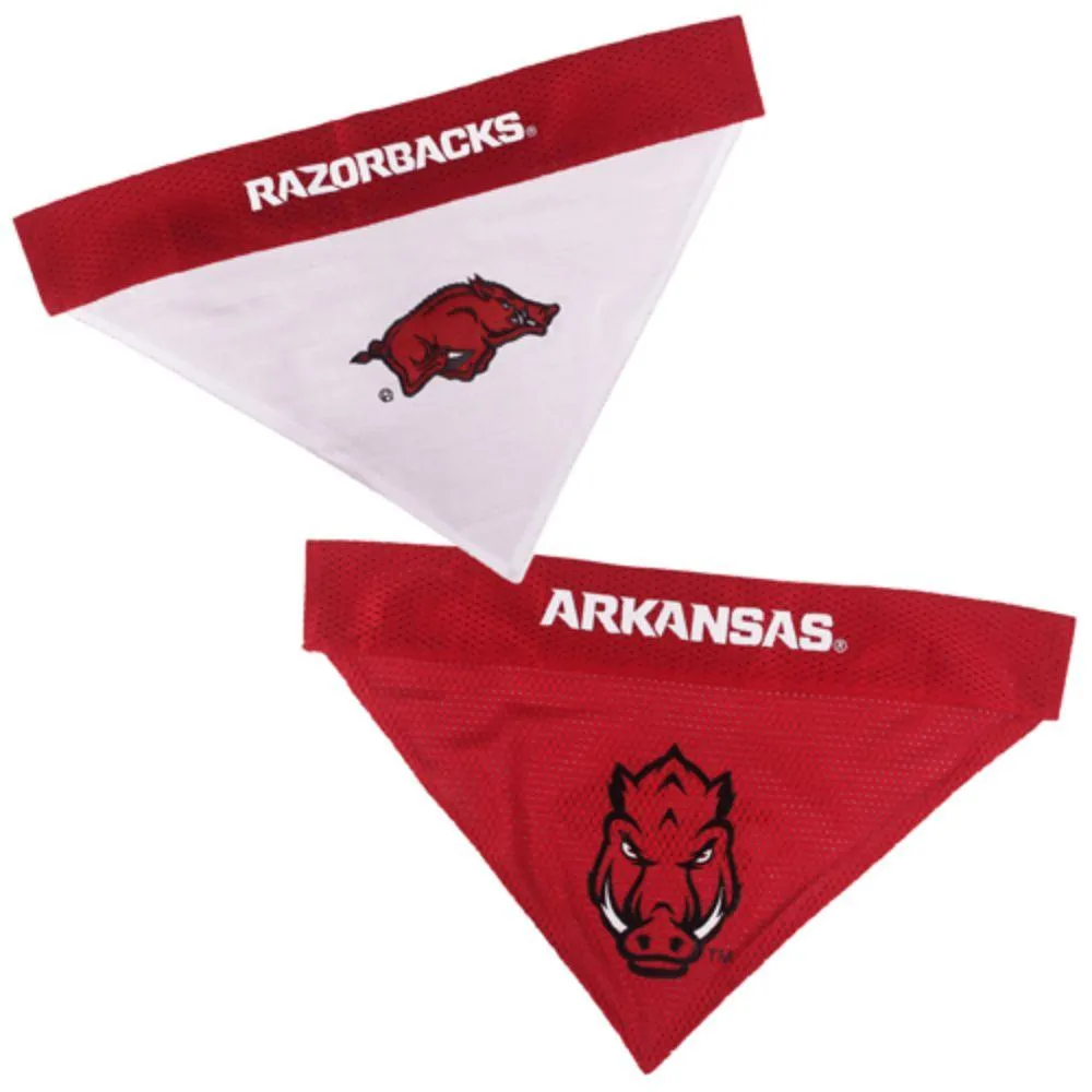 Razorbacks | Arkansas Pet Collar Bandana Alumni Hall