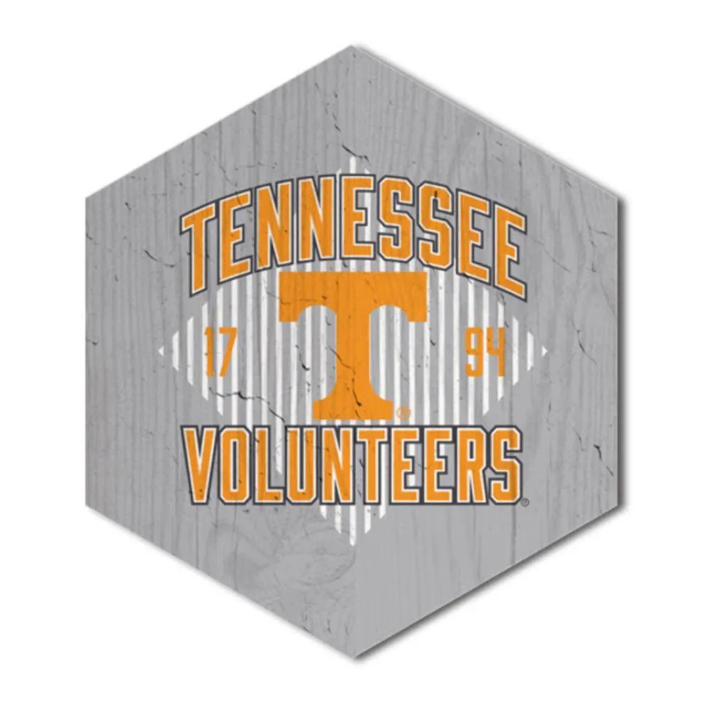  Vols | Tennessee Hexagon Magnet | Alumni Hall