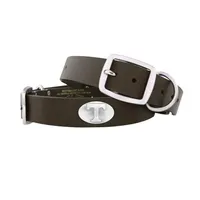 Vols | Tennessee Zeppro Concho Dog Collar Alumni Hall