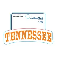  Vols | Tennessee Vault Arch Decal | Alumni Hall