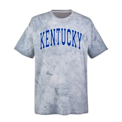 Cats | Kentucky Summit Big Outline Arch Comfort Colors Tee Alumni Hall