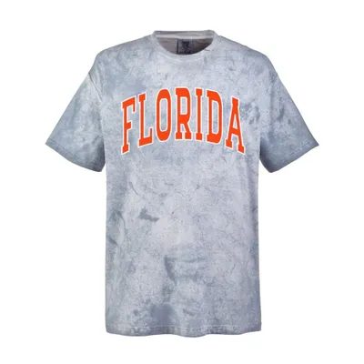 Gators | Florida Summit Big Outline Arch Comfort Colors Tee Alumni Hall