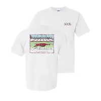 Razorbacks | Arkansas Summit Landscape Stadium Mascot Comfort Colors Tee Alumni Hall