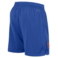 Florida Jordan Brand Dri-fit Sideline Mesh Shorts