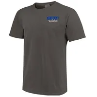 Cats | Kentucky Stadium Saturdays Comfort Colors Tee Alumni Hall