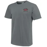 Razorbacks | Arkansas Hatch Shield Comfort Colors Tee Alumni Hall