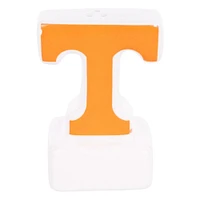 Tennessee Glory Haus Salt and Pepper Shakers