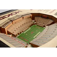 Virginia Tech Lane Stadium Wall Art