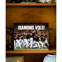 Tennessee 2024 NCAA College World Series National Champs Diamond Vols Book