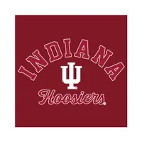 Hoosiers | Indiana Champion Women's Power Blend Versatwill Hoodie Alumni Hall