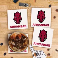  Razorbacks | Arkansas Razorback Single Coaster | Alumni Hall