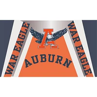 Auburn Gametime Sidekicks Vault 20 Oz Eagle A Tumbler