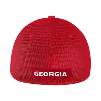 Dawgs | Georgia Nike L91 Swoosh Mesh Flex Fit Cap Alumni Hall