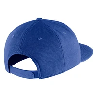 Kentucky Nike 2023 Under Visor Flat Bill Adjustable Cap