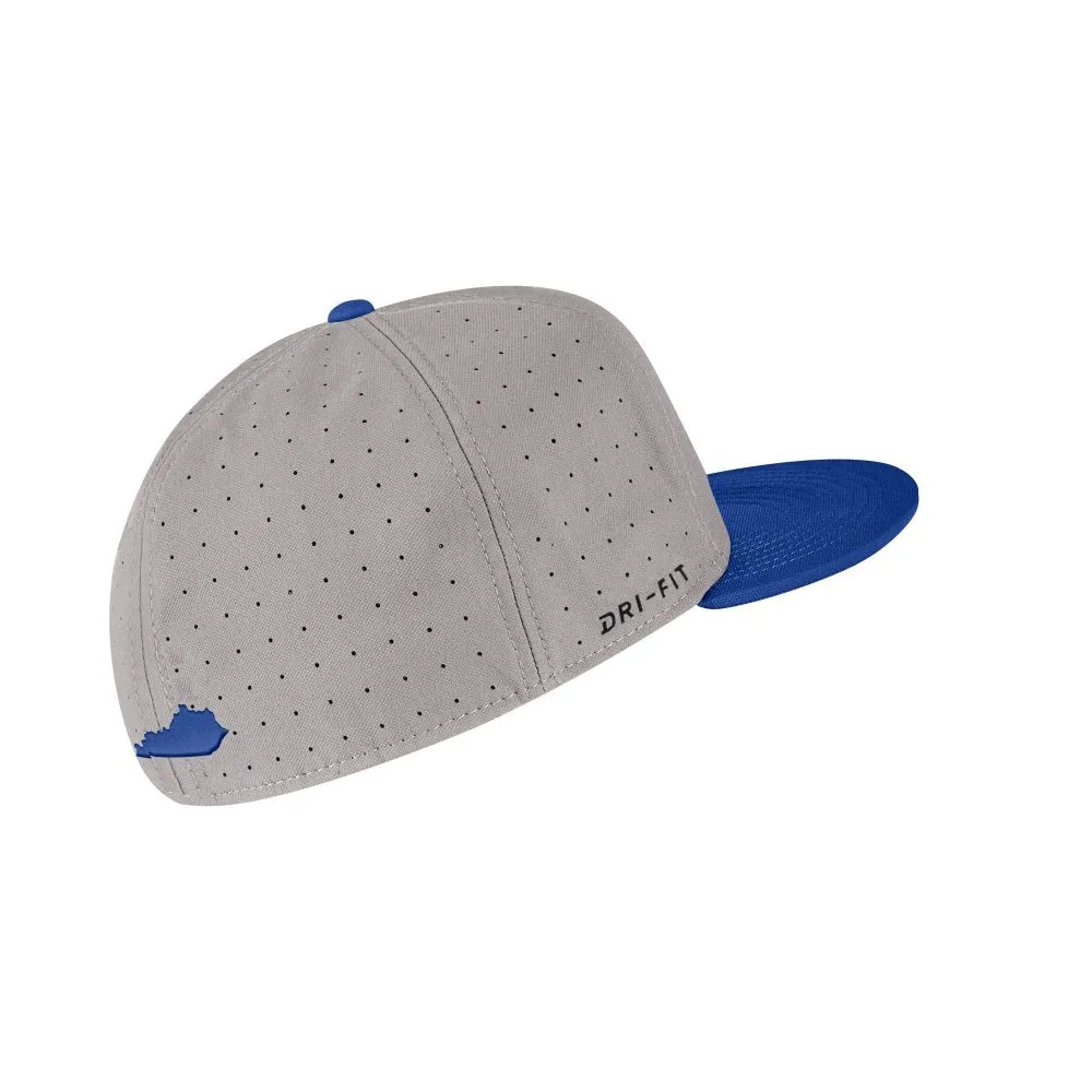 Cats | Kentucky Nike Aero Fitted Baseball Cap Alumni Hall