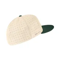 Spartans | Michigan State Nike Aero Fitted Baseball Cap Alumni Hall