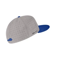 Kentucky Nike Aero True Fitted Baseball Cap