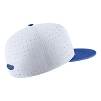 Florida Nike Aero True Fitted Baseball Cap