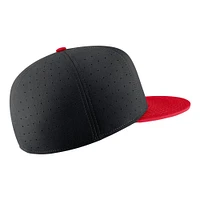 Georgia Nike Aero True Fitted Baseball Cap