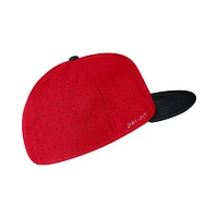 Georgia Nike Aero True Fitted Baseball Cap