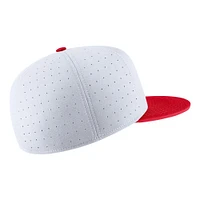 Georgia Nike Aero True Fitted Baseball Cap