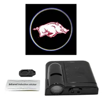  Razorbacks | Arkansas Car Door Light | Alumni Hall