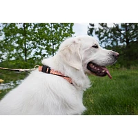 Tennessee Checkerboard Pet Collar