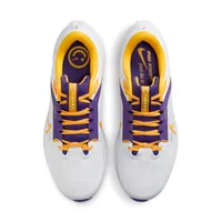 Lsu | Nike Pegasus 40 Shoe Alumni Hall