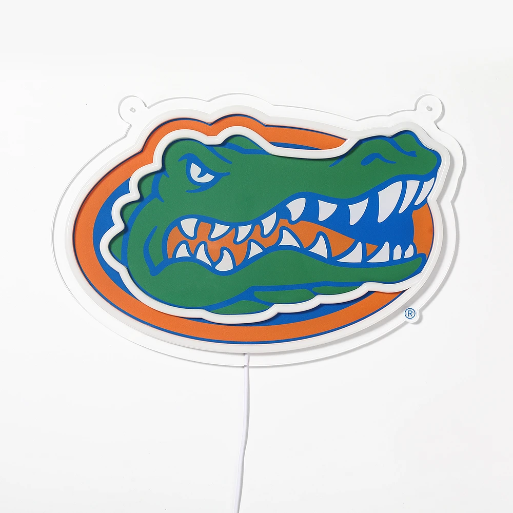 Florida Saturday Neon LED Neon Sign